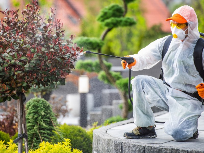 Ceyhan Haşere İlaçlama